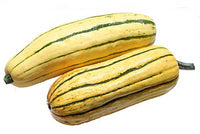 Delicata