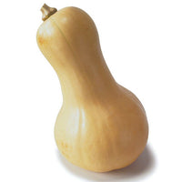 Butternut